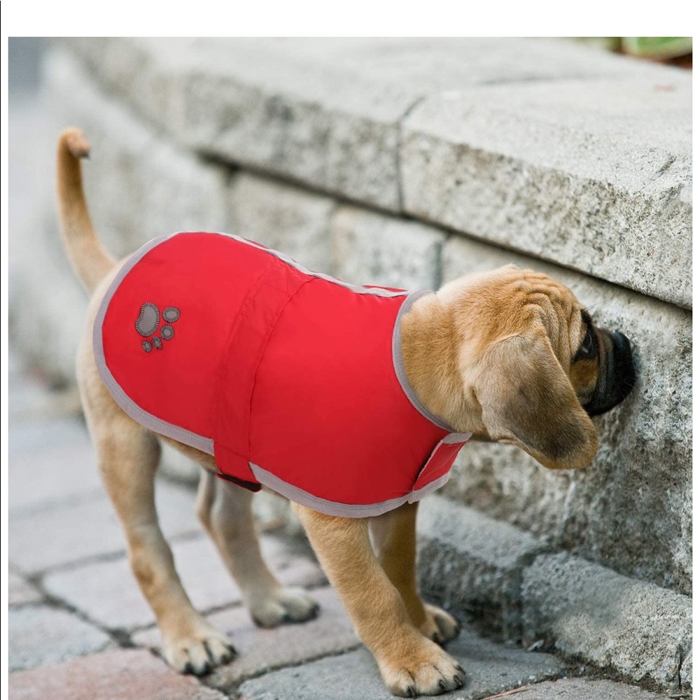 Dog 🐶 Coat